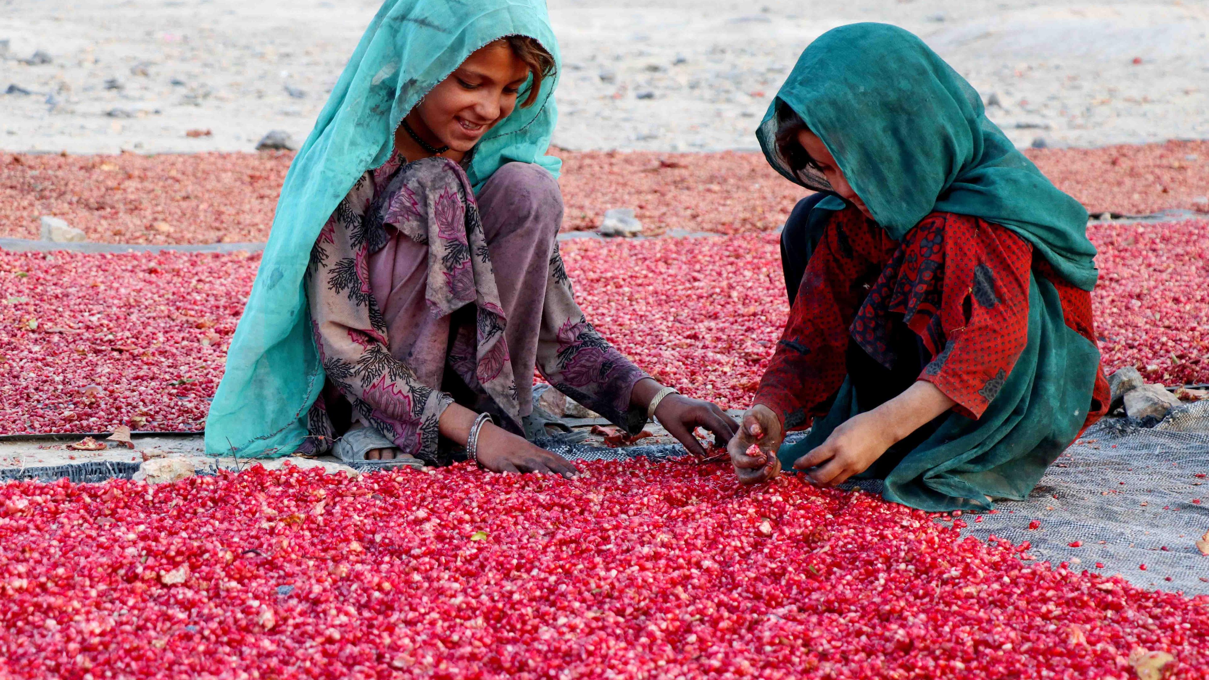Afghanistan, Kandahar: Mädchen sortieren Granatapfelkerne. Archivbild