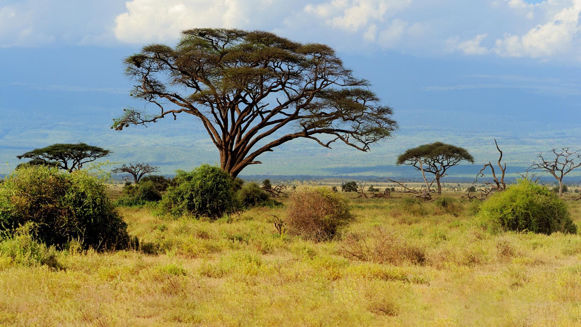 Reichtümer des Kontinent Afrika sind die einzigartige Natur und Landschaft, Tierwelt, Bodenschätze und Solarenergie der Sonne
