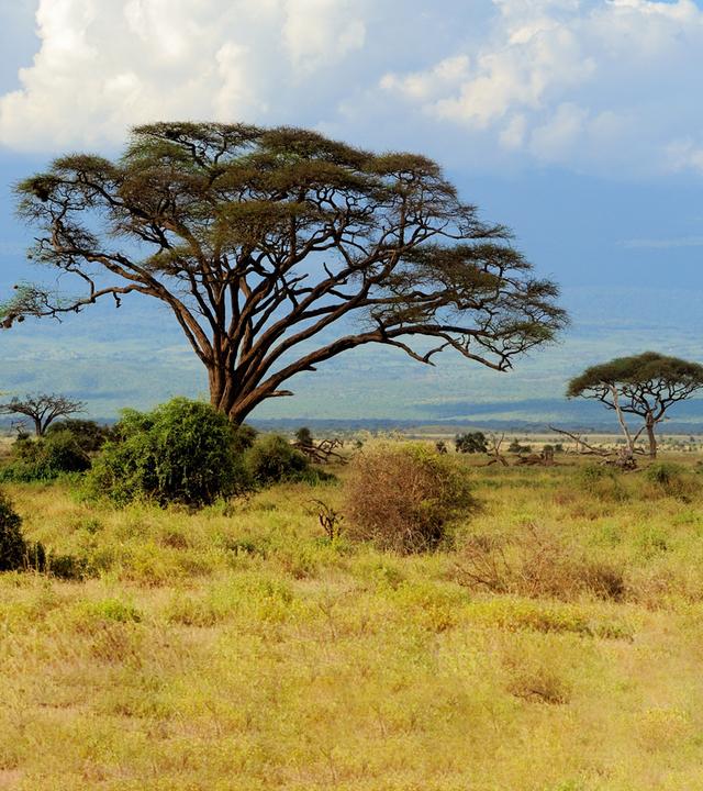 Reichtümer des Kontinent Afrika sind die einzigartige Natur und Landschaft, Tierwelt, Bodenschätze und Solarenergie der Sonne