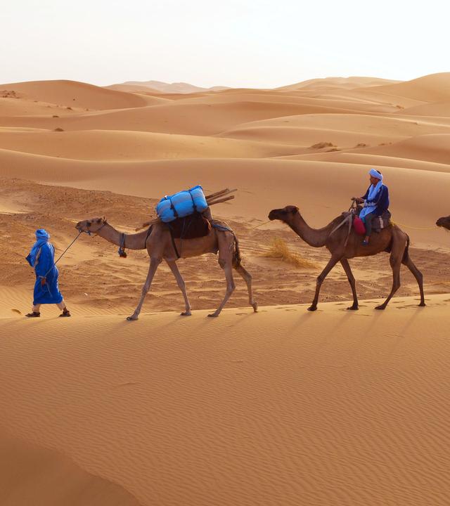 Beduinen: Bis heute ziehen Beduinen als Nomaden durch die Sahara, wobei Dromedare ihre unentbehrlichen Begleiter sind.