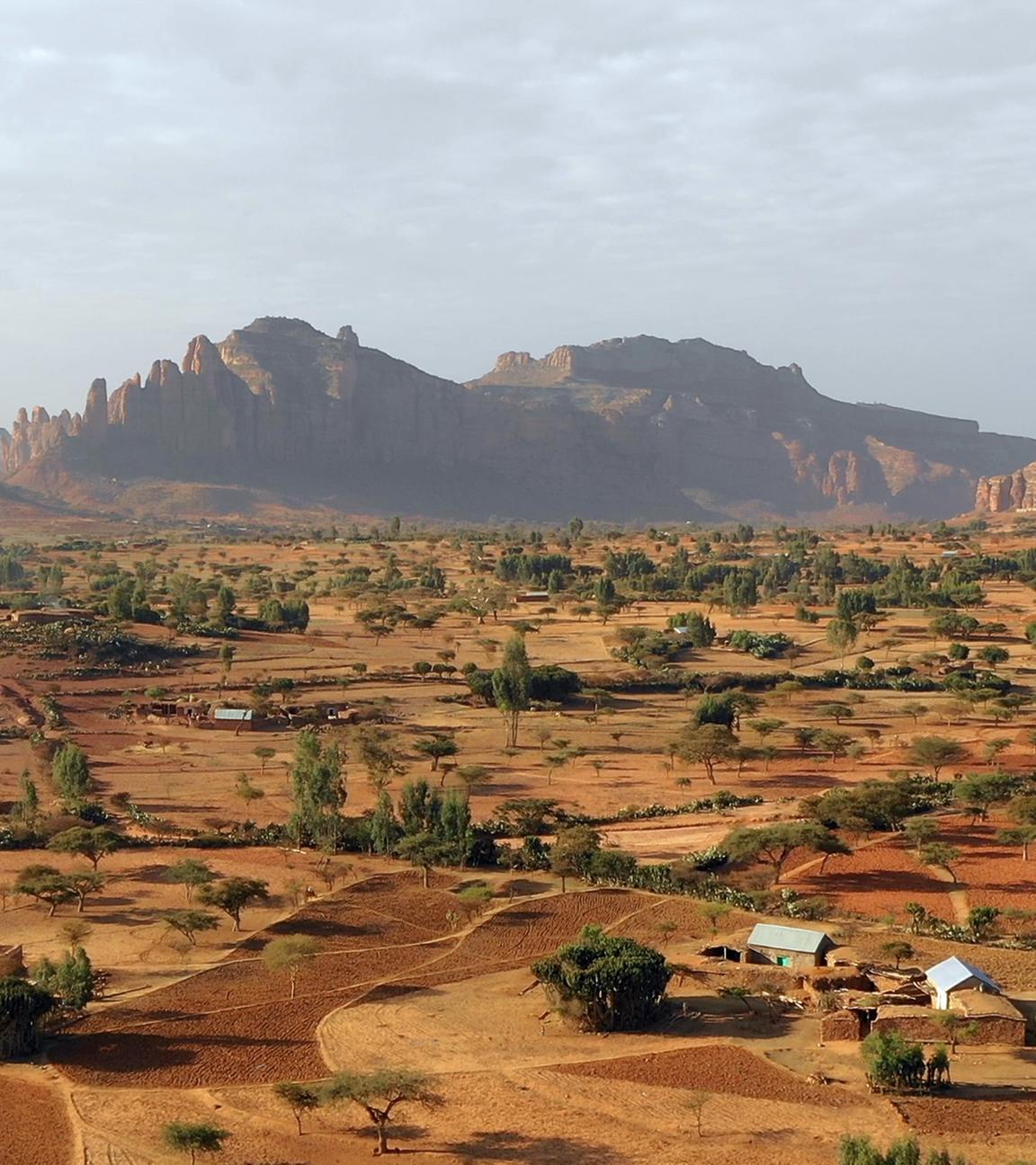 Afrikanische Landschaft mit Bergen im Hintergrund.