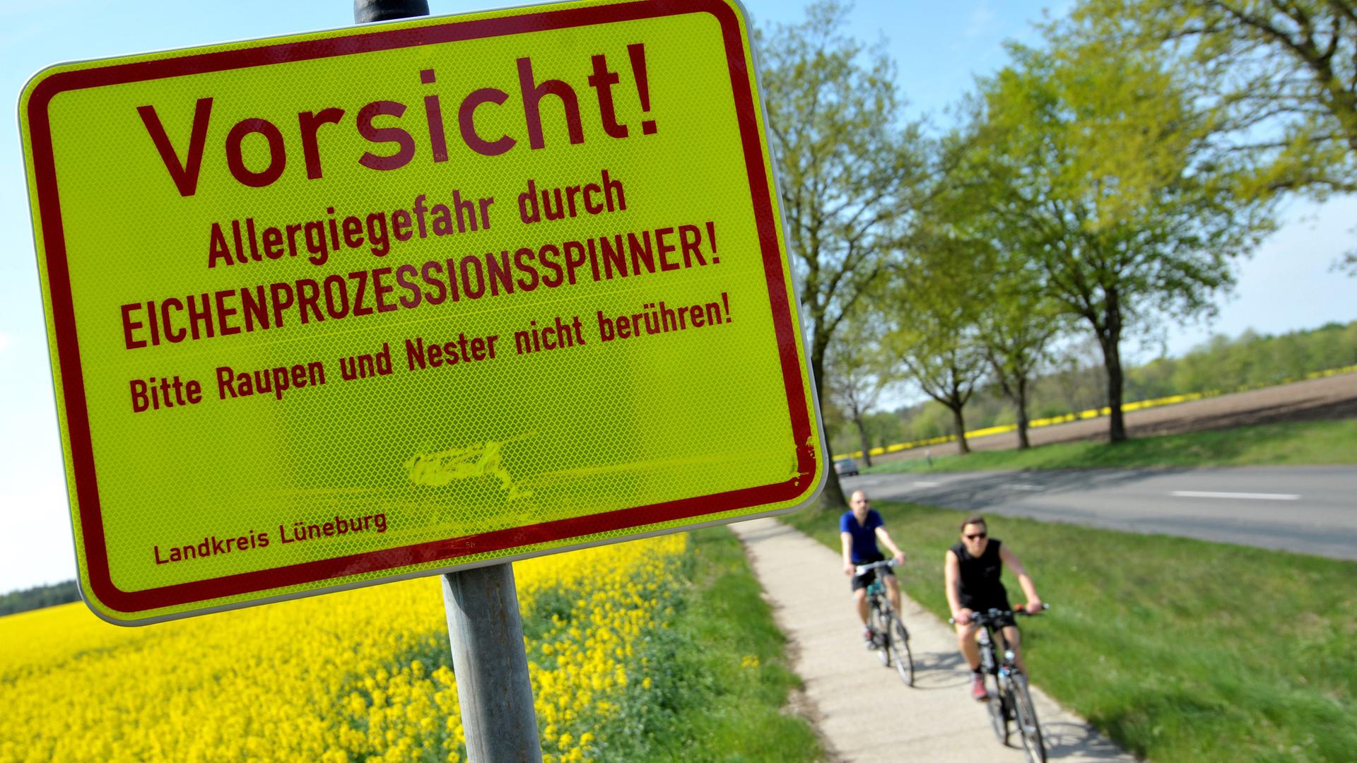 warnschild warnt vor eichenprozessionsspinner