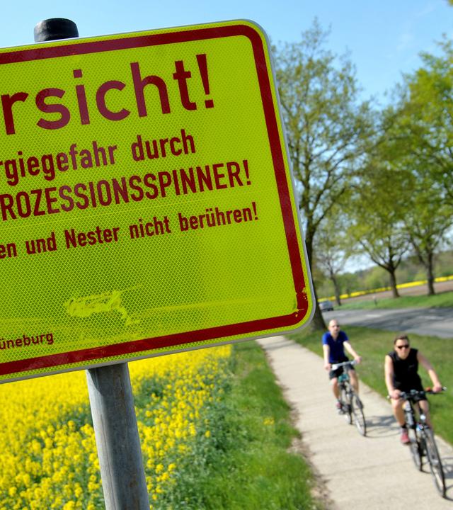 warnschild warnt vor eichenprozessionsspinner