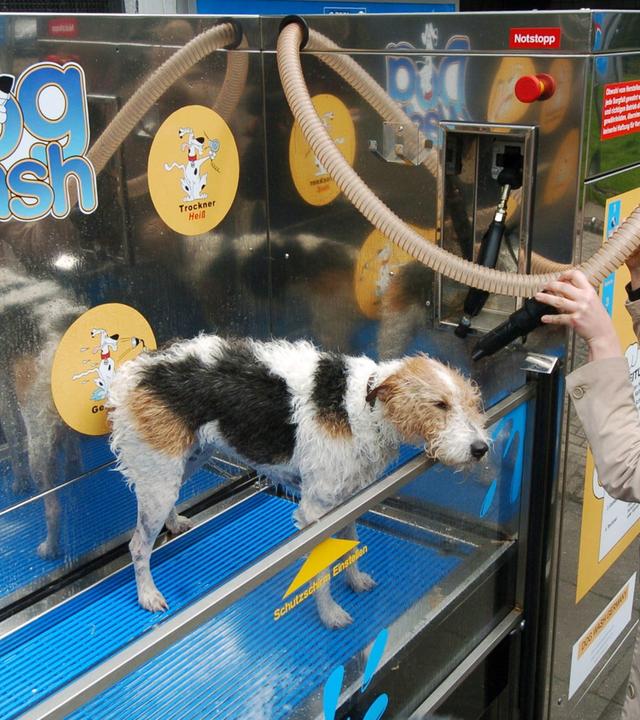 hundewaschanlage