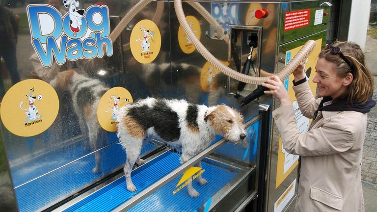 hundewaschanlage