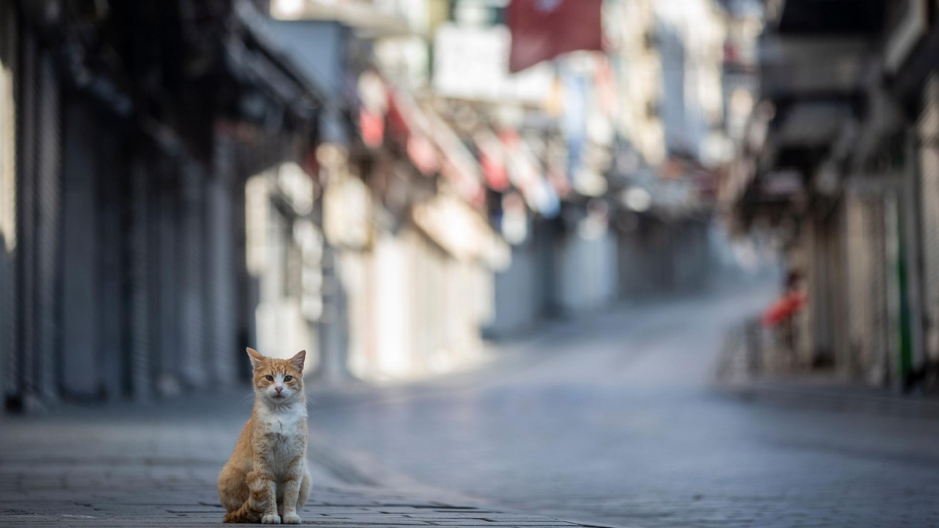 menschenleere strasse in istanbul