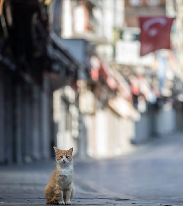 menschenleere strasse in istanbul