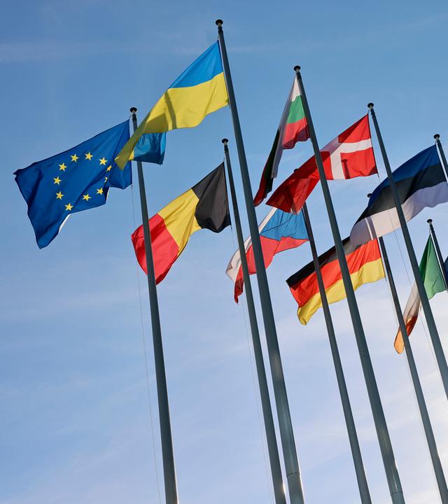Nationalflaggen vor Europaparlament