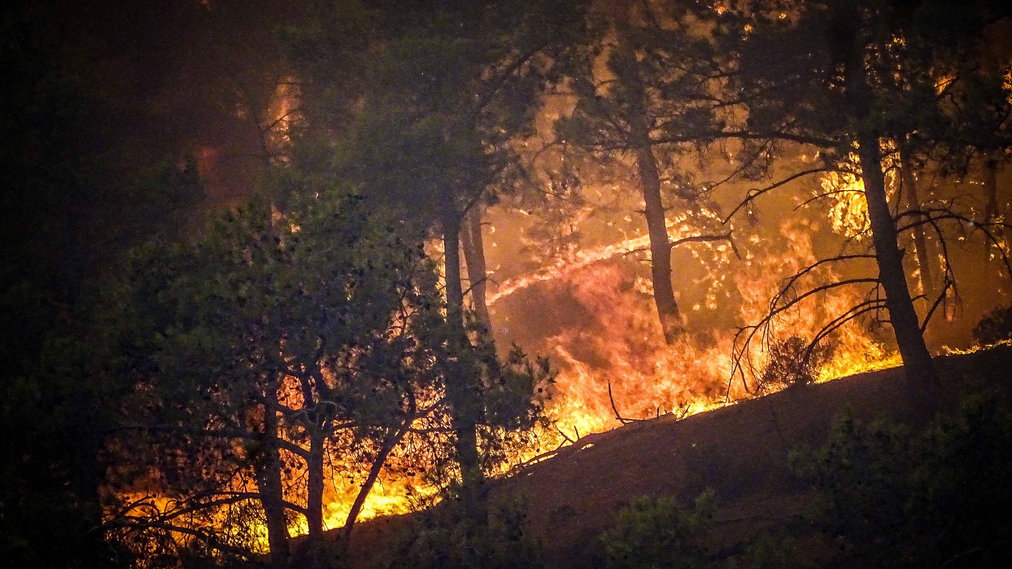Katastrophale Waldbrände auf Rhodos