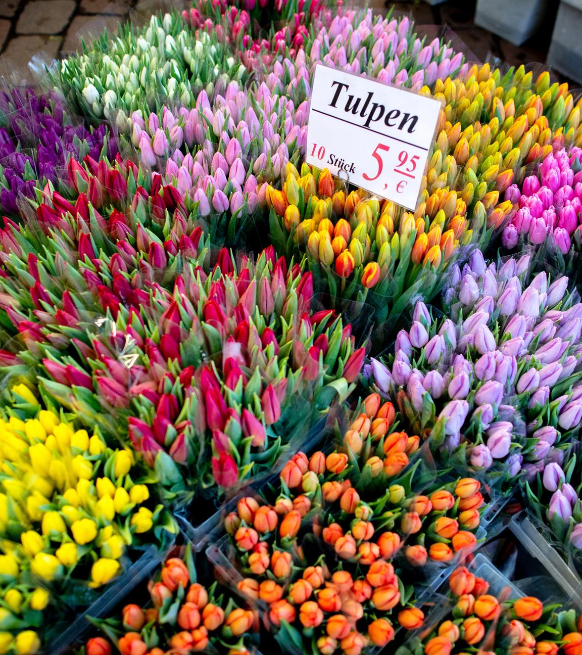 Tulpen auf dem Wochenmarkt