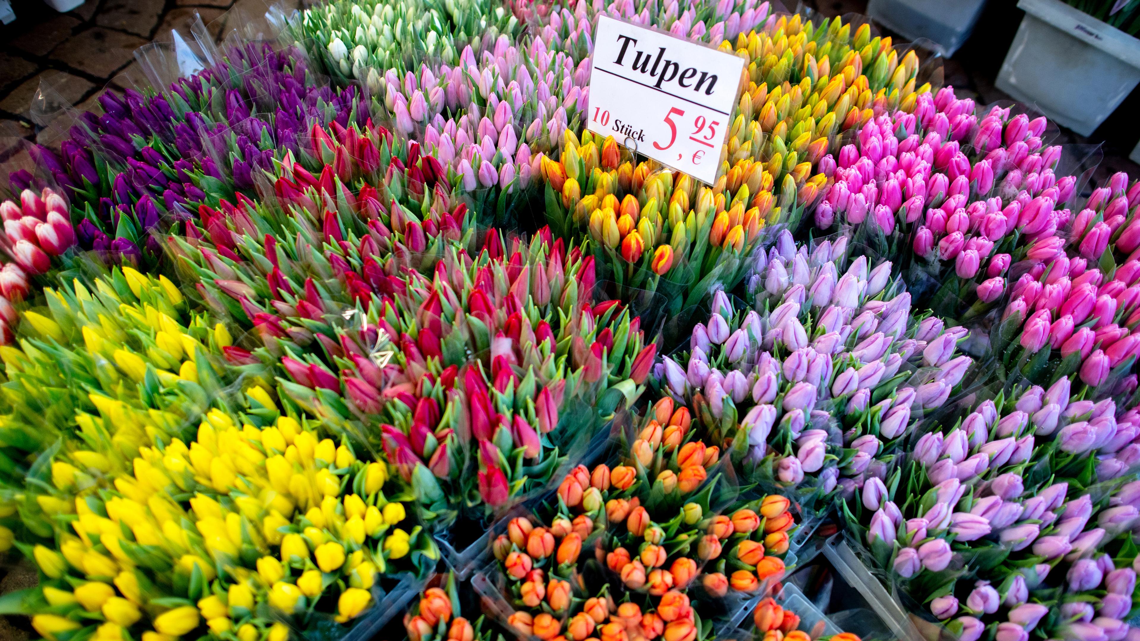 Tulpen auf dem Wochenmarkt