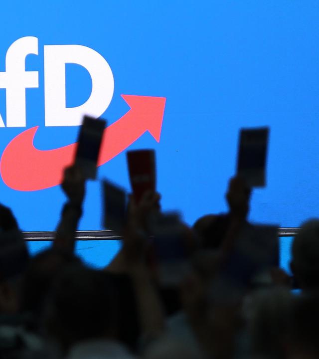 15. Bundesparteitag der AfD Symbolbild