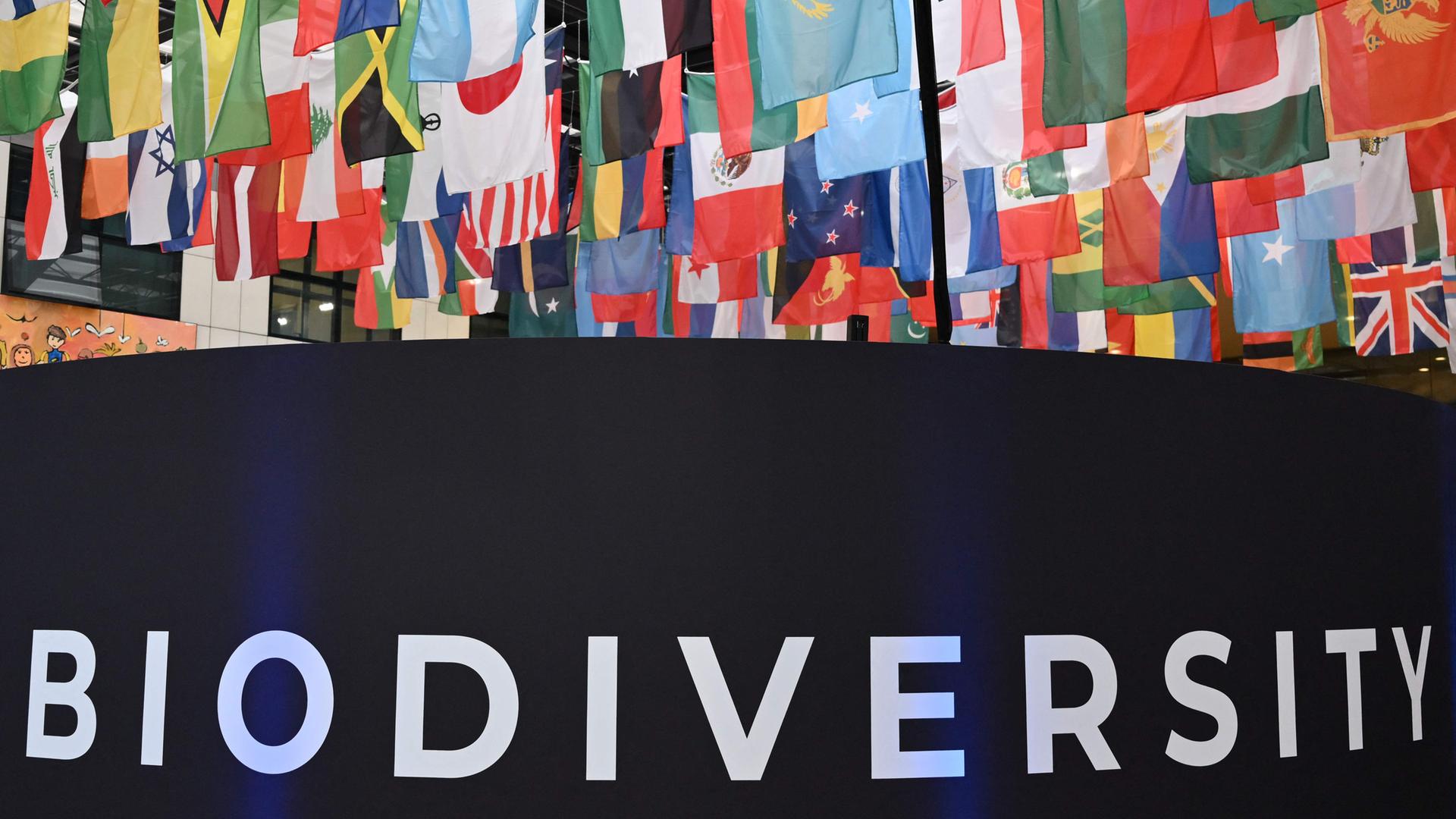 ITALY-BIODIVERSITY-COP16-CLIMATE