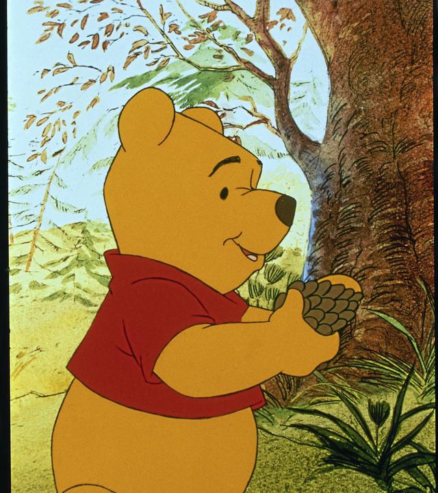 puh der baer
