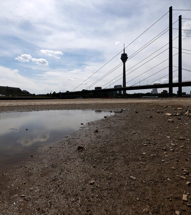 Düsseldorf: Rhein bei Niedrigwasser