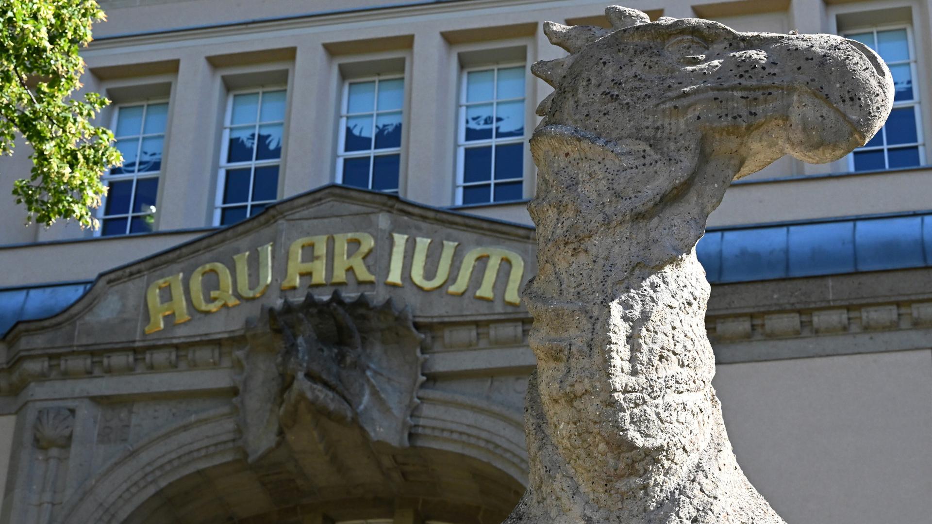 Vor der Wiedereröffnung des historischen Aquariums Berlin