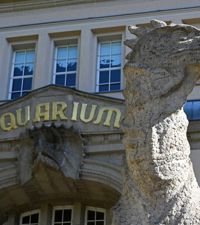 Vor der Wiedereröffnung des historischen Aquariums Berlin