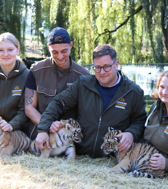 Tigerdrillinge im Tierpark Ströhen