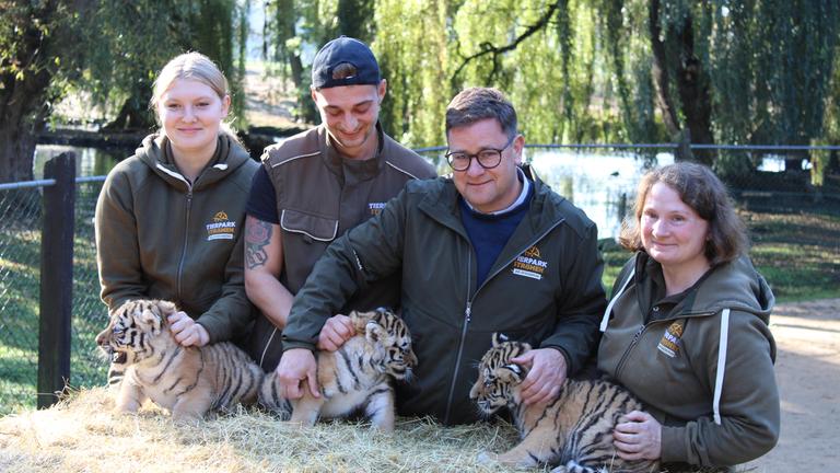 Tigerdrillinge im Tierpark Ströhen