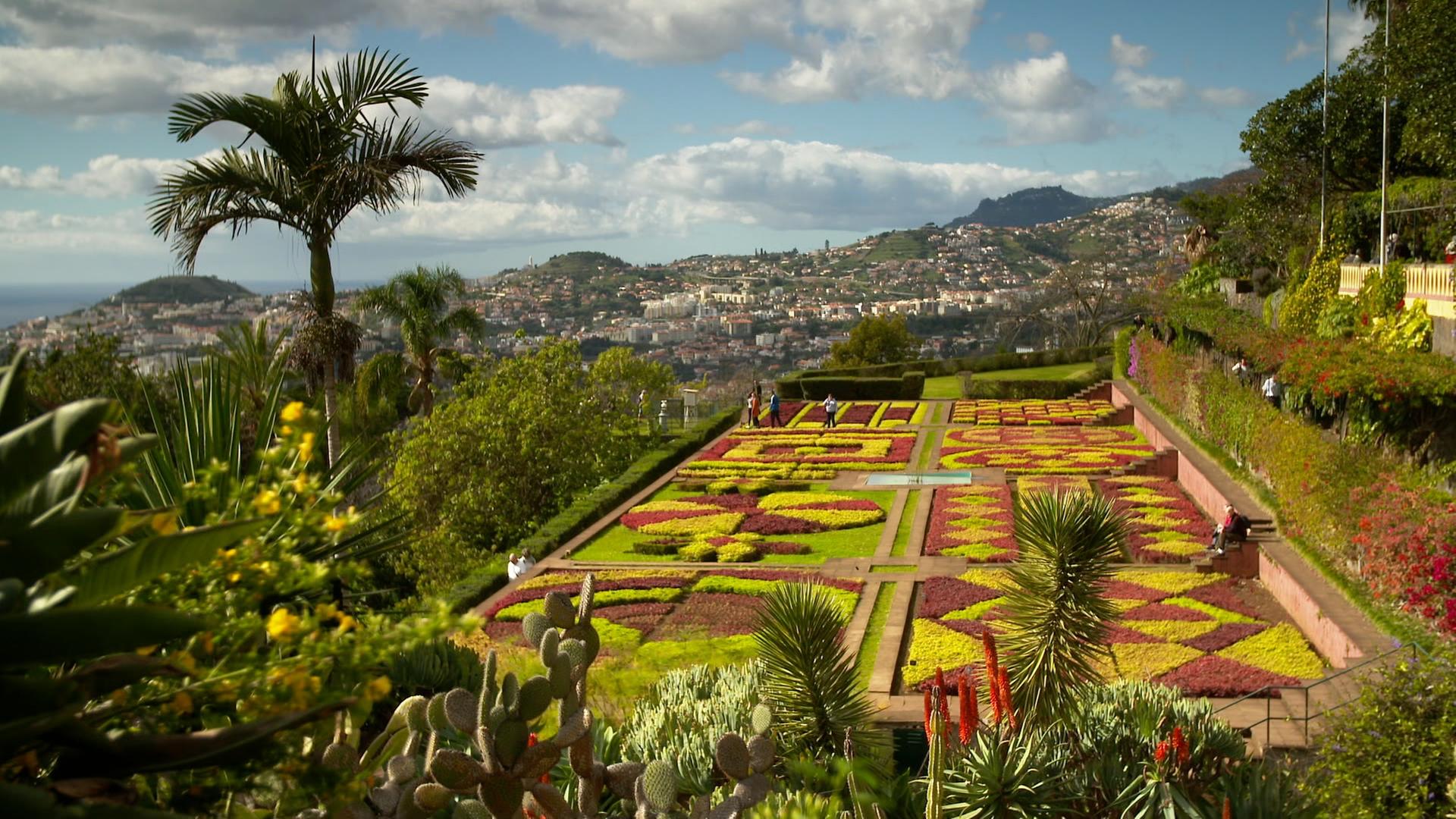 Aida Oder Tui Cruises Zdfmediathek