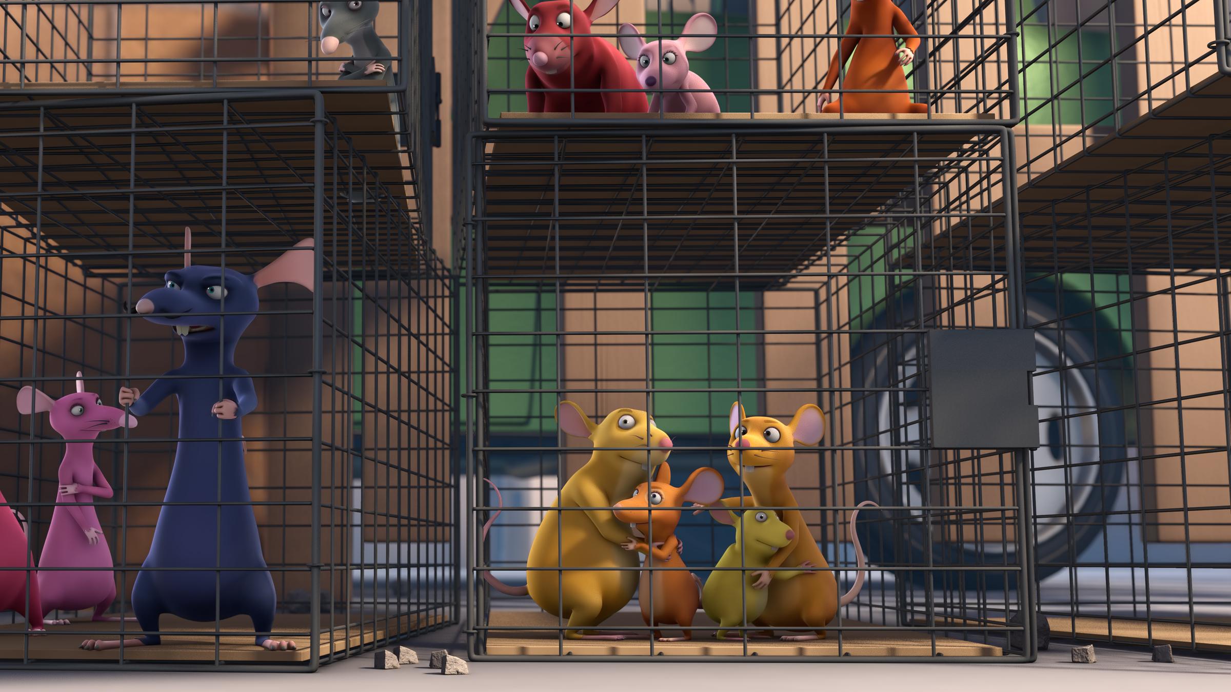 Die Nager sitzen in Käfigen, weil ein Kammerjäger sie eingesperrt hat.