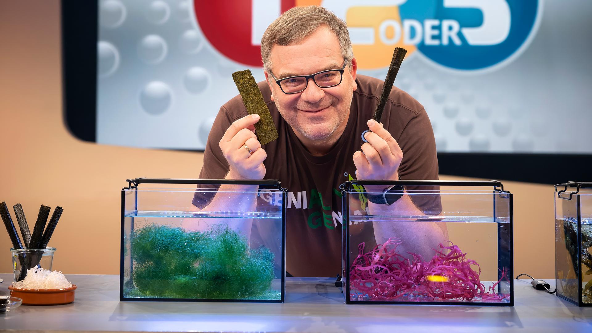 Elton lehnt sich über zwei kleine Aquarien in denen unterschiedliche Algenarten zu sehen sind. In der Hand hält Nudeln und Schokolade aus Algen.