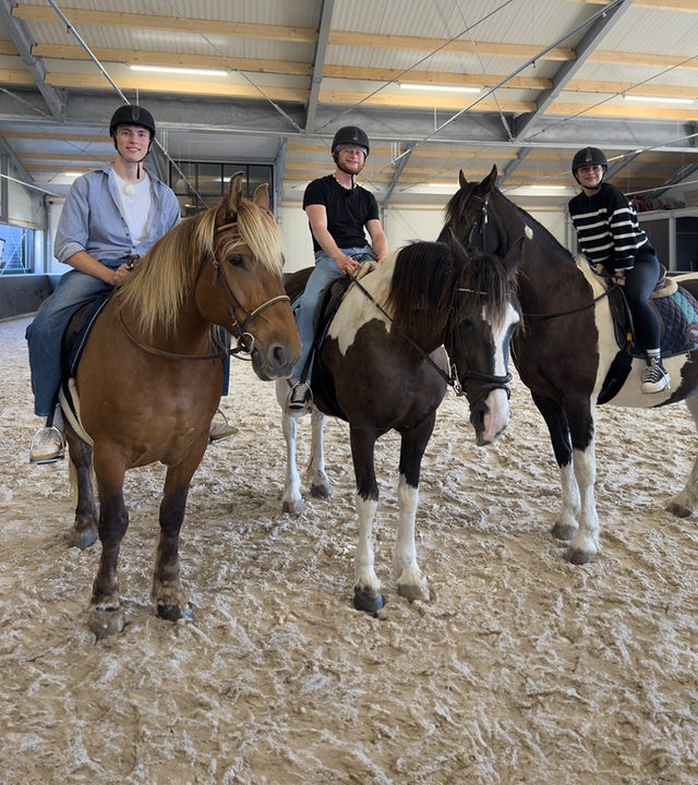 Rouven, Justus und Ella reiten auf einem Pferd