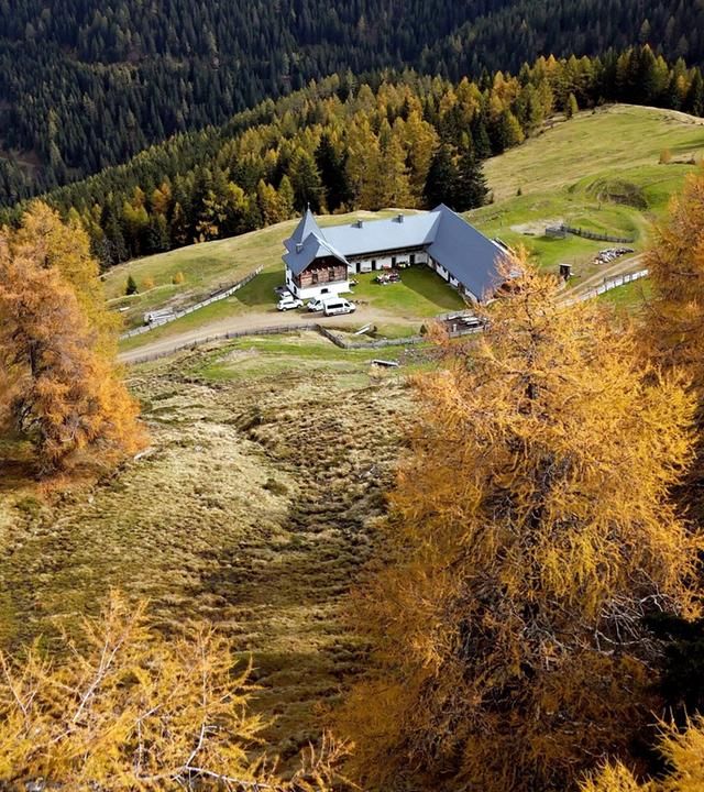 Das Bild zeigt die Litzlhofalm, eine Alm in einer hügeligen, alpine Landschaft. Die Alm ist ein modern gestaltetes Gebäude mit einem grauen Dach und einer Holzfront. Vor der Alm sind mehrere Autos geparkt. Um das Gebäude herum erstreckt sich eine grüne Wiese, durchzogen von sanften Hügeln.   Im Vordergrund stehen Bäume, die im Herbstlaub in Gelb- und Orangetönen leuchten, während im Hintergrund dichte, dunkle Nadelwälder sichtbar sind. Die Almlandschaft wird von sanften Hügeln und bewaldeten Berghängen umgeben, auf denen die herbstlichen Farbtöne besonders zur Geltung kommen. Die Atmosphäre wirkt ruhig und idyllisch, typisch für ländliche Gebiete in den Alpen.