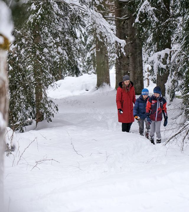 Das Bild zeigt eine winterliche Landschaft im Alpbachtal. Im Vordergrund sind ein verschneiter Pfad und eine Ansammlung von Schneeverwehungen zu sehen. Auf diesem Pfad gehen eine Frau und zwei Kinder. 

Die Frau trägt einen langen roten Mantel und eine graue Mütze. Die Kinder sind in dicke Winterjacken gekleidet, einer trägt eine blaue Mütze und der andere hat eine Jacke in Rot und Blau an. Sie bewegen sich, während es um sie herum von schneebedeckten Bäumen umgeben ist. Der Hintergrund ist ruhige und von einem sanften Schneefall geprägt, der die gesamte Szene einhüllt. 

Die Umgebung wirkt friedlich und winterlich, was die winterliche Atmosphäre der Region unterstreicht.