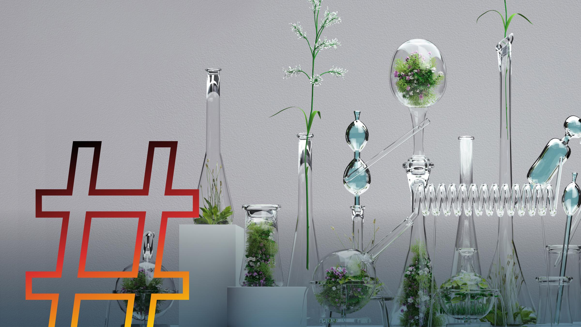 Am Puls Deutschlands - Anthroposophie - gut oder gefährlich