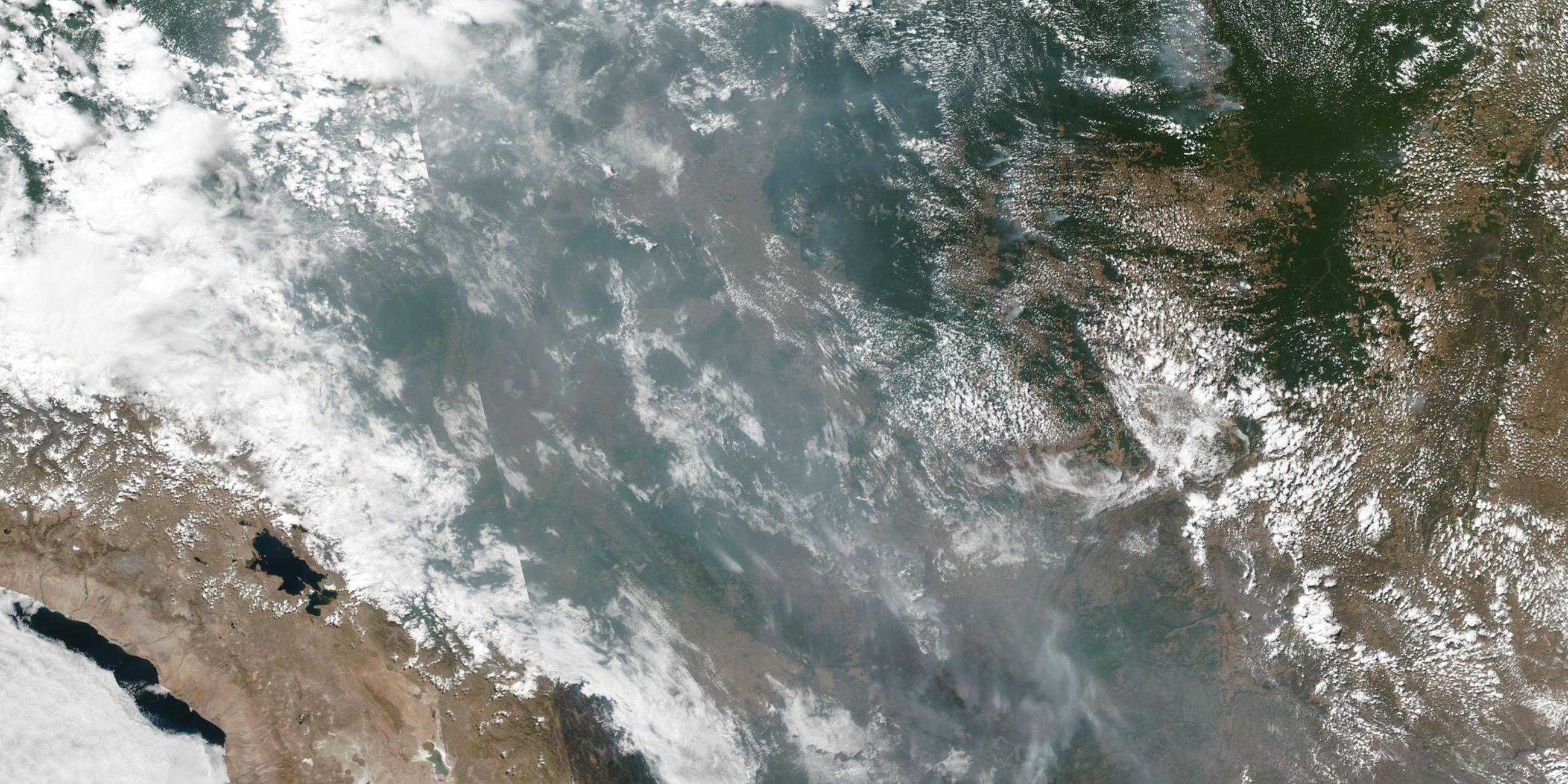 Satellitenbild: Waldbrände im Amazonas-Regenwald