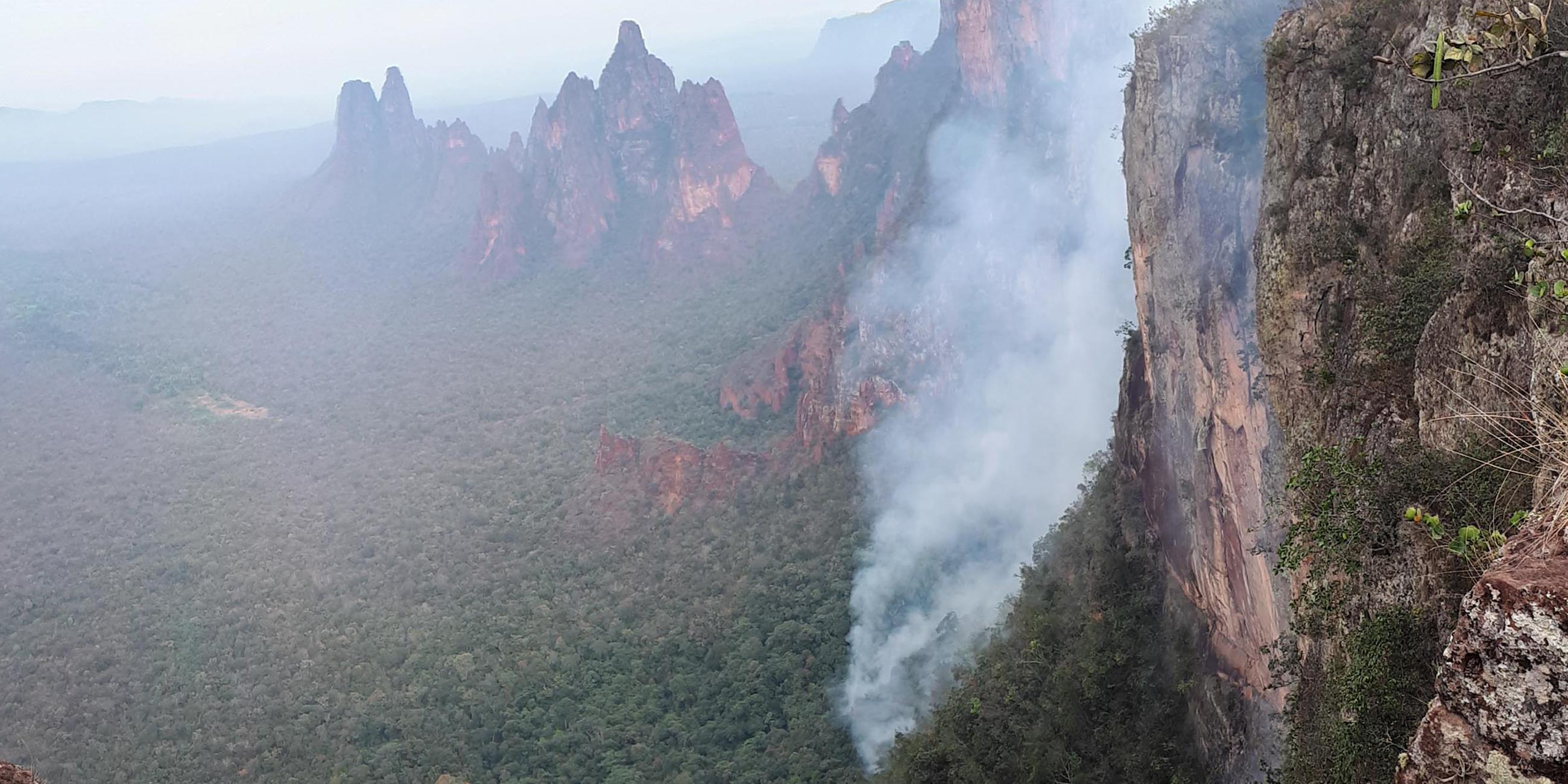 Waldbrände im Amazonas-Regenwald