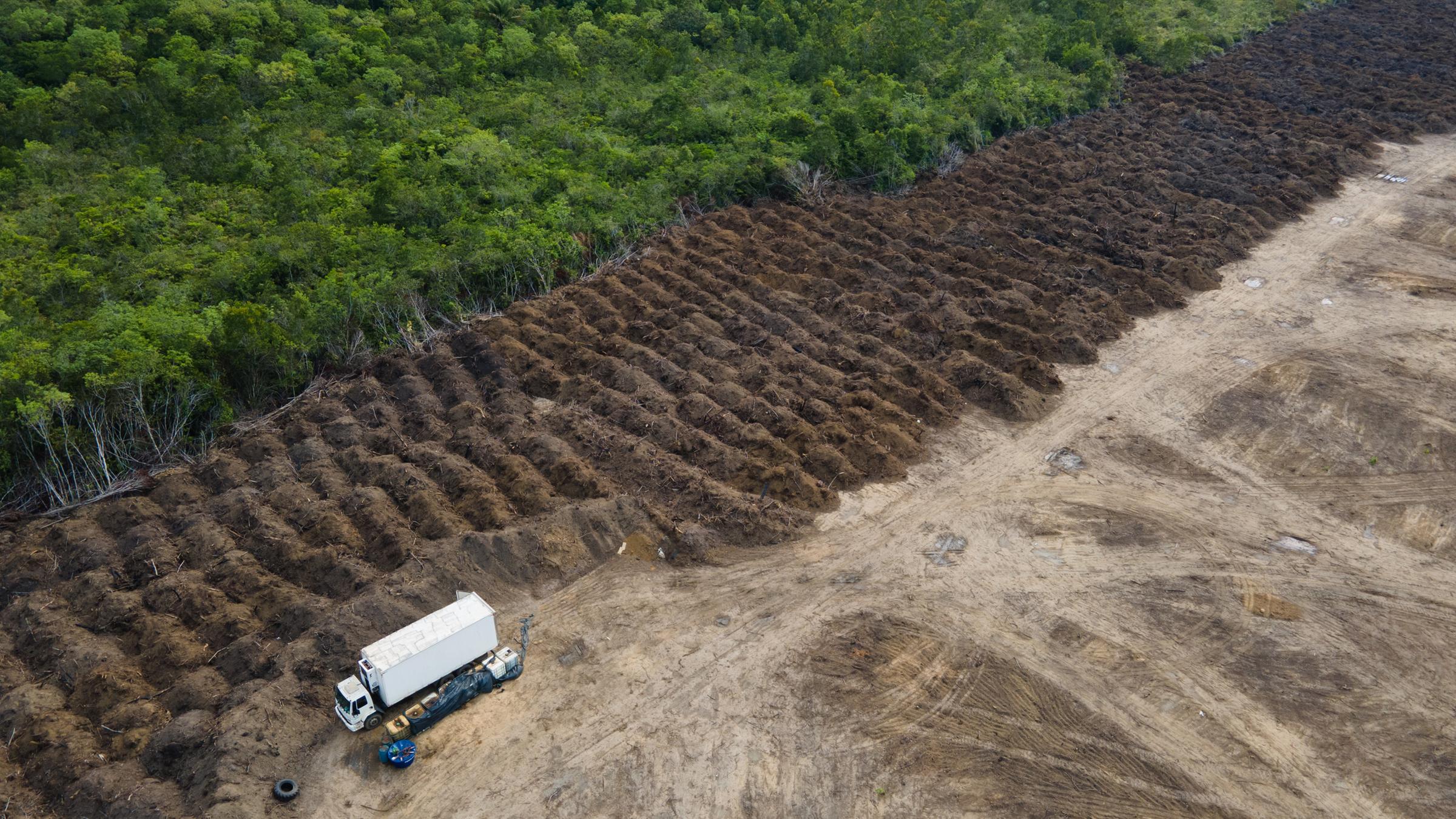 Lastwagen steht in einem abgeholzten Gebiet des Amazonas