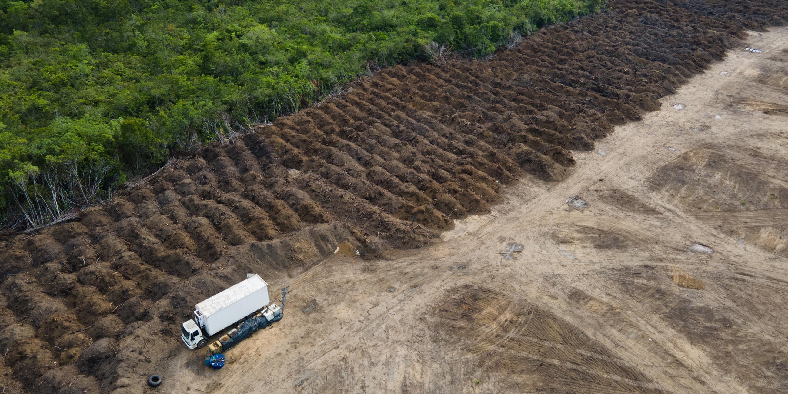 Lastwagen steht in einem abgeholzten Gebiet des Amazonas
