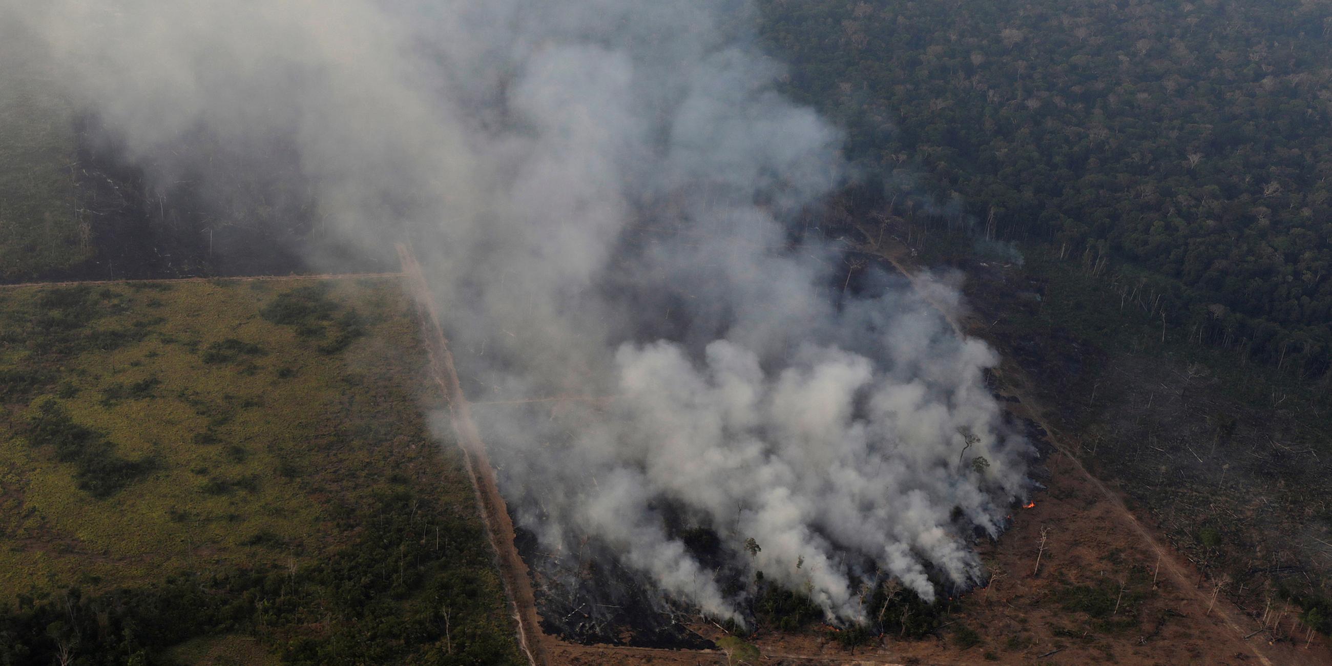 Archiv, Brasilien, Porto Velho: Flächenbrand im Regenwald von Amazonas.