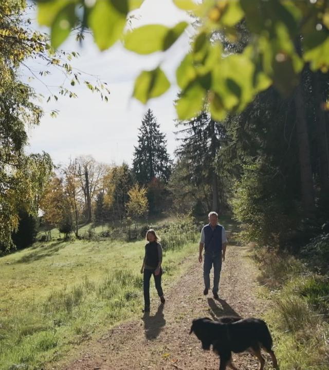Zwei Menschen gehen mit Hund über Waldweg