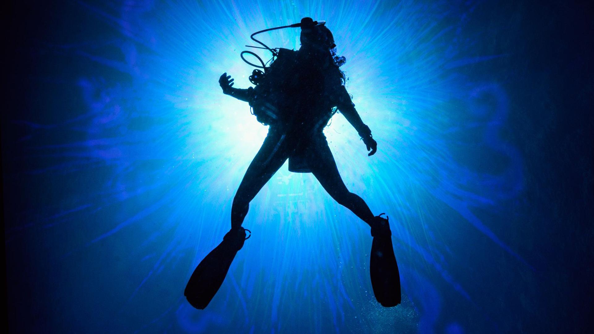 Plakatmotiv zum Film mit Silhouette eines Tauchers.