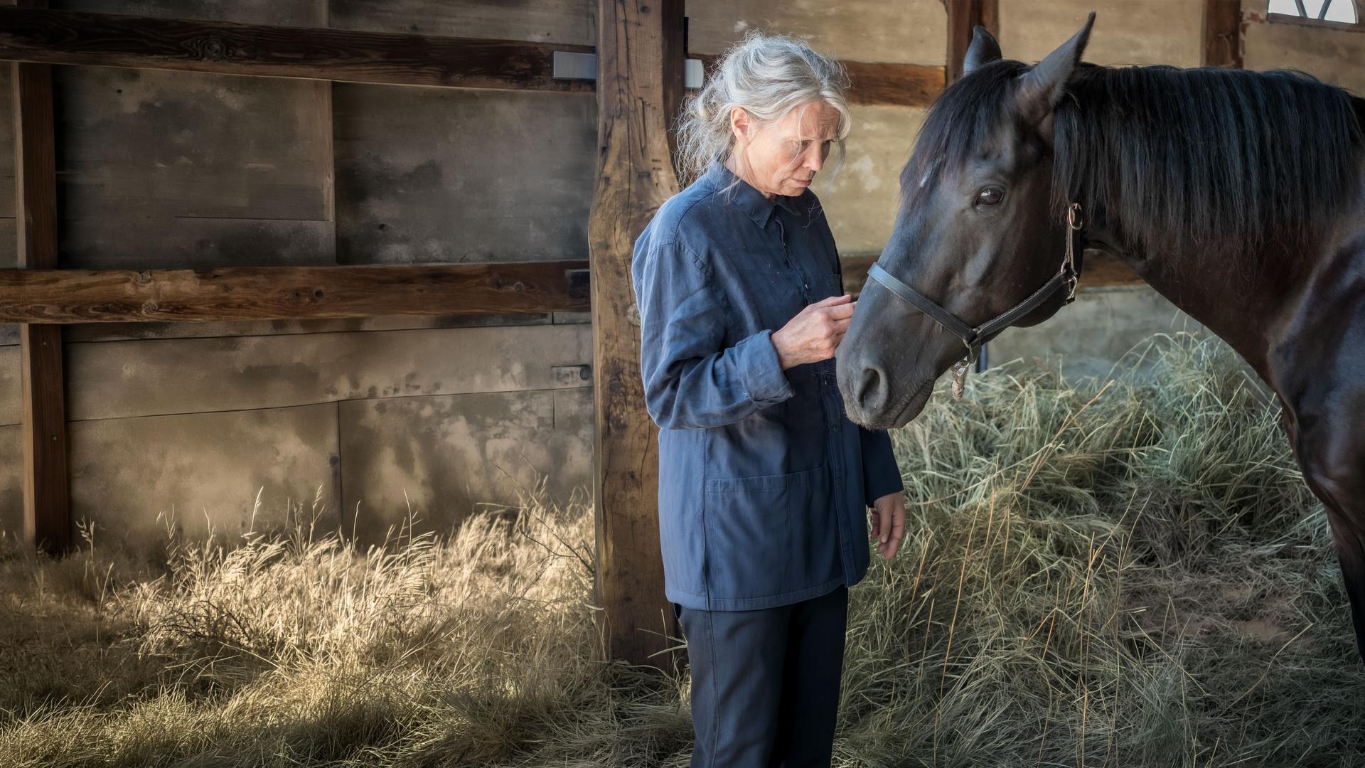"Altes Land: Ankommen": Die alte Vera Eckhoff (Iris Berben) steht im Stall und streichelt ihren Rappen.