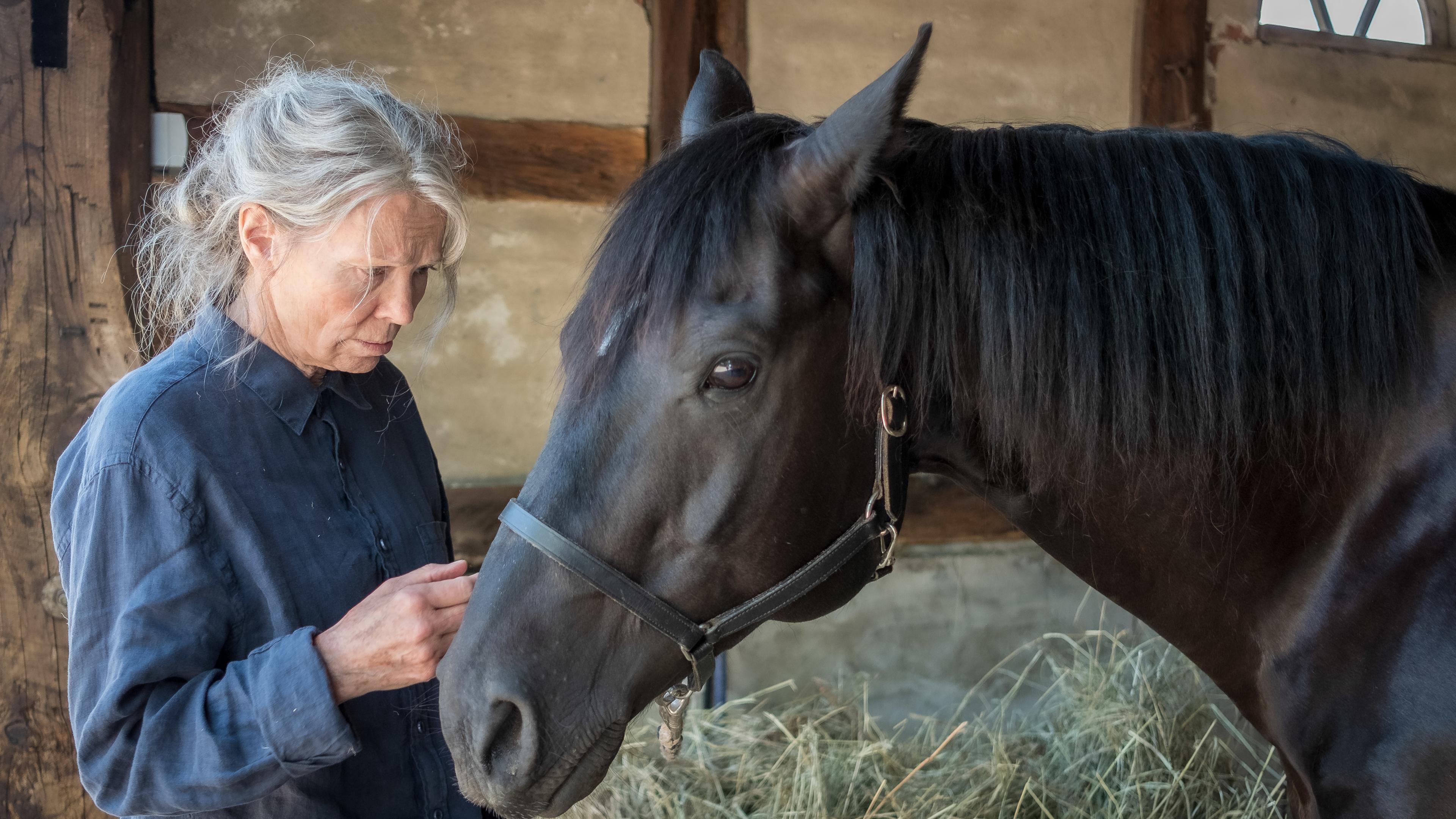 "Altes Land: Ankommen": Die alte Vera Eckhoff (Iris Berben) steht im Stall und streichelt ihren Rappen.