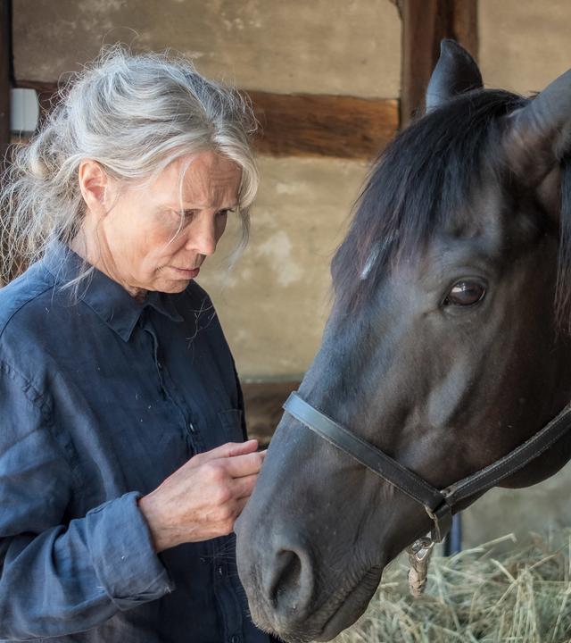 "Altes Land: Ankommen": Die alte Vera Eckhoff (Iris Berben) steht im Stall und streichelt ihren Rappen.