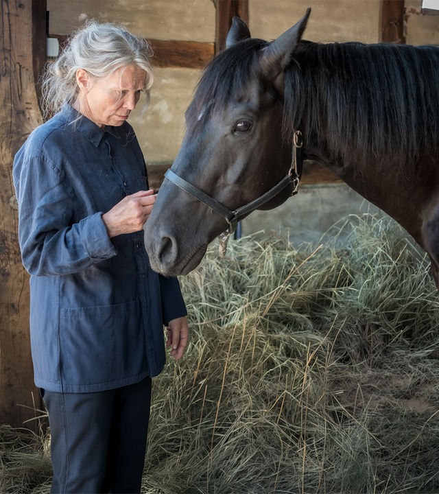 "Altes Land: Ankommen": Die alte Vera Eckhoff (Iris Berben) steht im Stall und streichelt ihren Rappen.