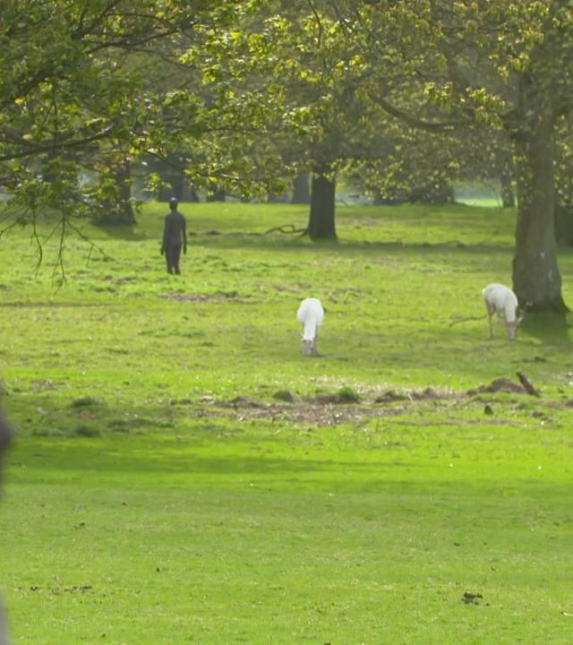 Antony Gormley in Norfolk