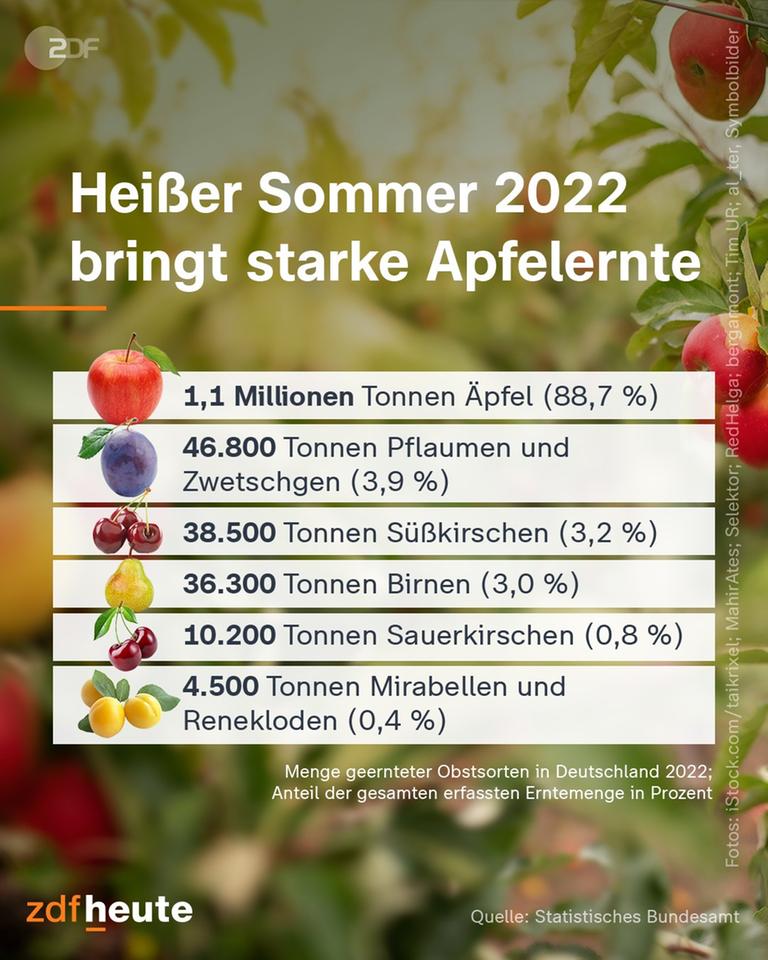 Starke Apfelernte 2022