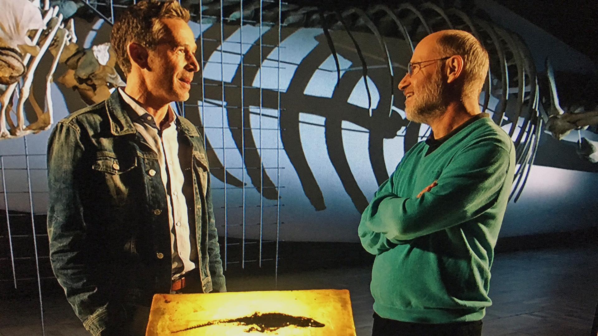 Harald Lesch und Dirk Steffens bei der Aufzeichnung im Senckenberg-Museum