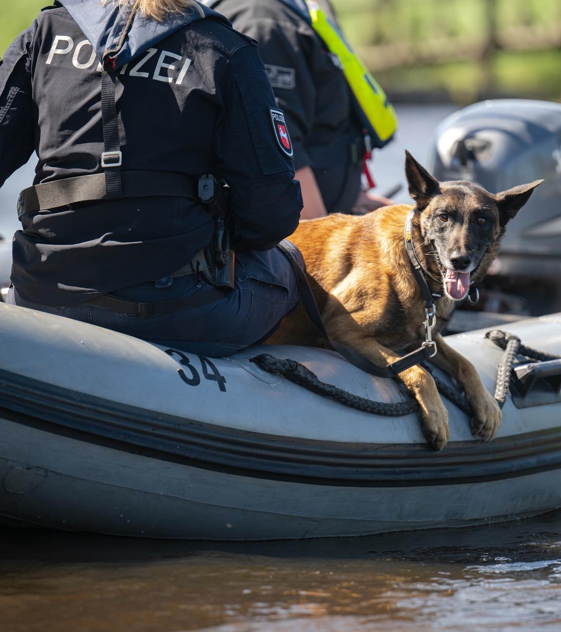 Niedersachsen, Kranenburg: Einsatzkräfte der Polizei fahren bei der Suche nach dem vermissten Arian mit Spürhunden auf Schlauchbooten über die Oste.