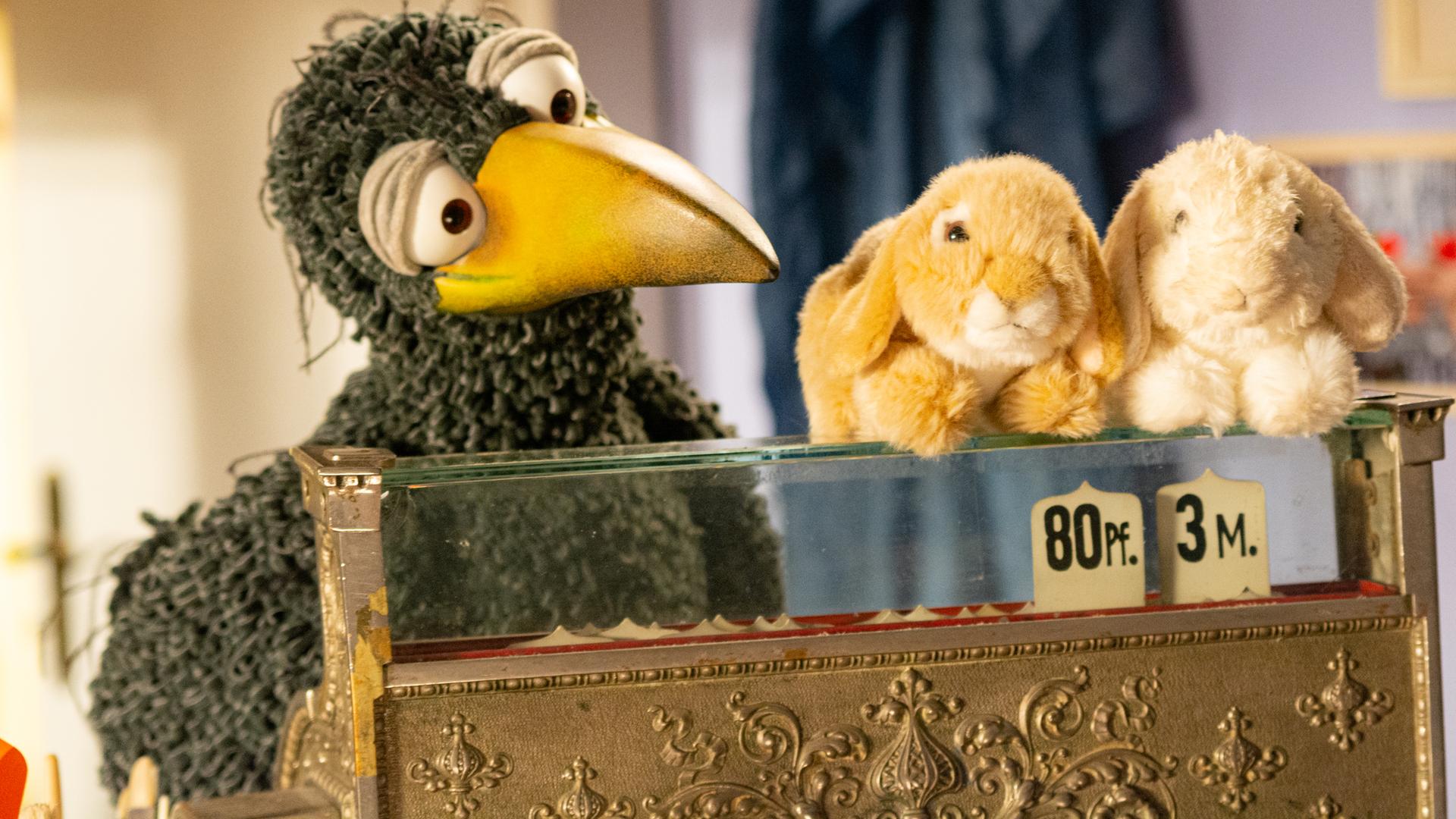 Rabe Rudi schaut zwei Kuscheltierhasen an, die auf einer Kasse liegen.