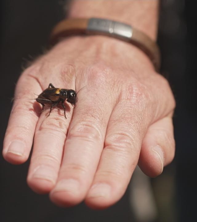 Artenvielfalt zum Anfassen