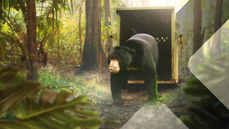 Hilfe für bedrohte Arten