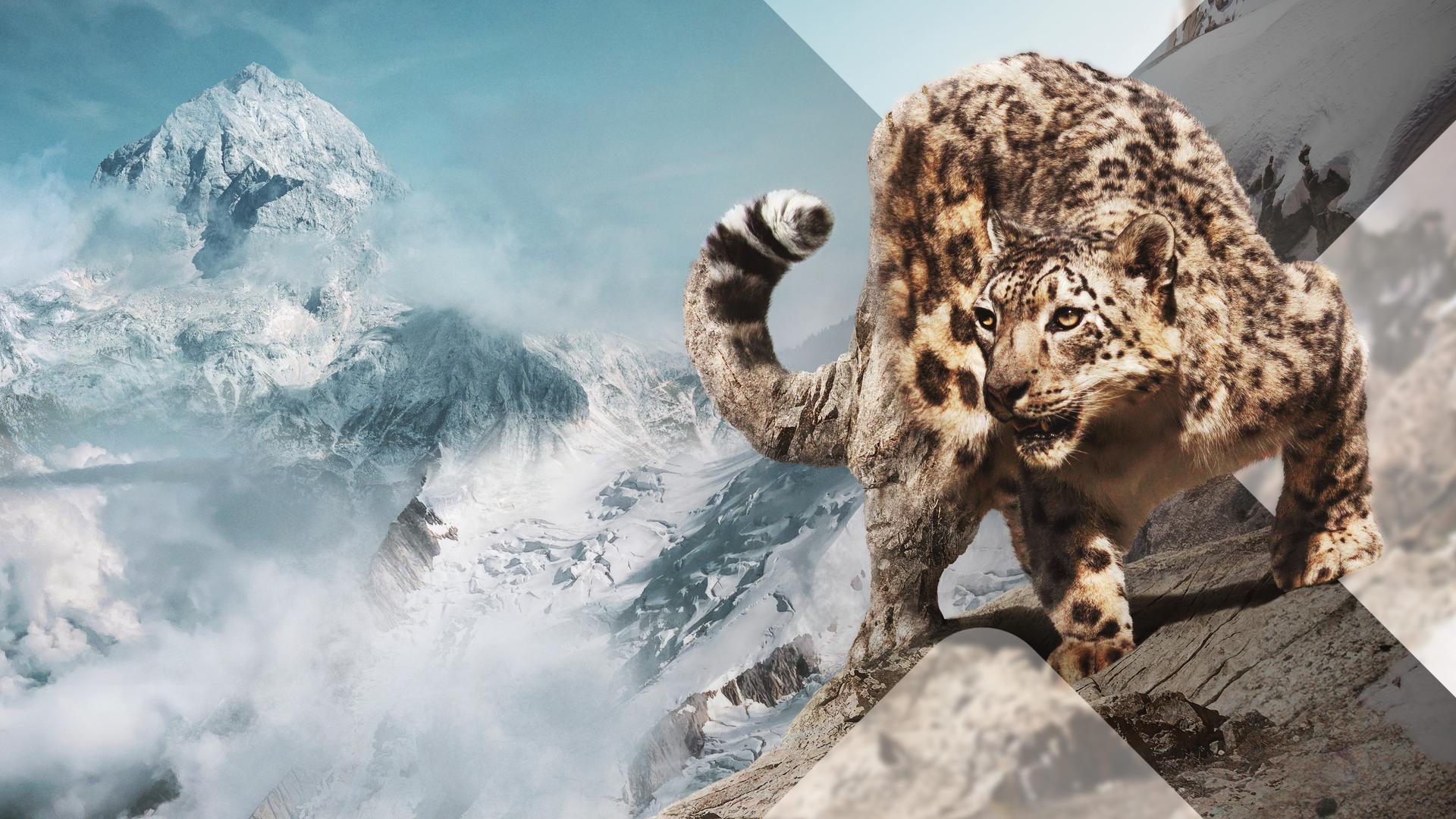 Bild für Wilde Berge