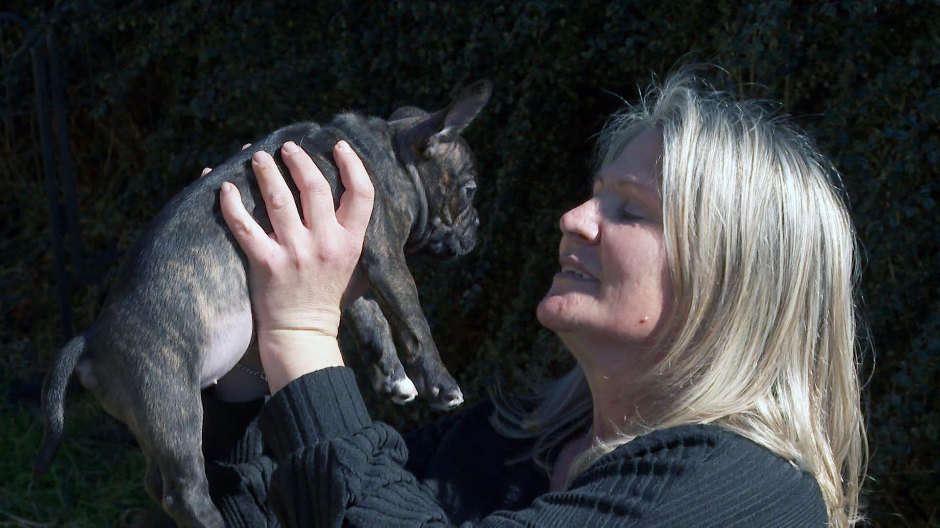 Das Bild zeigt eine Frau, die einen kleinen, dunkel gestromten Hund in ihren Händen hält. Der Hund ist aufrecht, und die Frau schaut ihn liebevoll an, während sie ihn an den Seiten festhält. Die Frau hat lange, blonde Haare und trägt einen schwarzen, langärmligen Pullover. Im Hintergrund sind grüne Sträucher zu sehen, die eine natürliche Umgebung schaffen. Das Licht der Szene wirkt hell und freundlich, was eine positive Atmosphäre vermittelt.